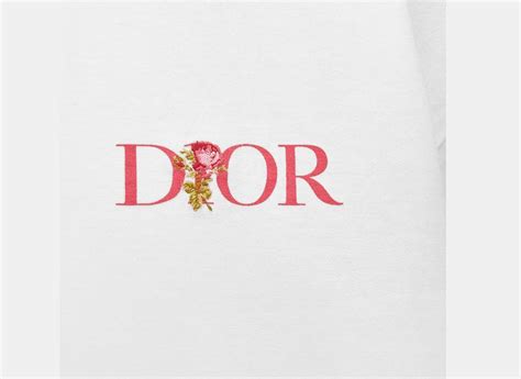 oversized dior jardin t-shirt|dior designer t shirts.